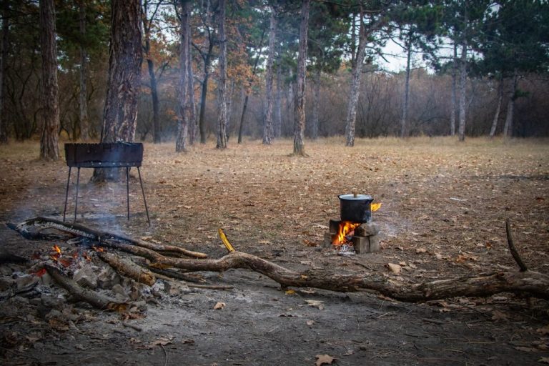 Планировка летней кухни